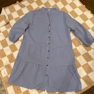 Blue Gingham Button-Down Dress